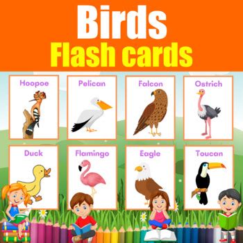 Bird Flash cards. 16 Printable Posters for kids & students to learn ...