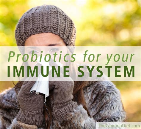 Probiotics And Your Immune System » The Candida Diet