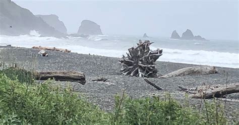 Quileute Oceanside Resort Camping | The Dyrt