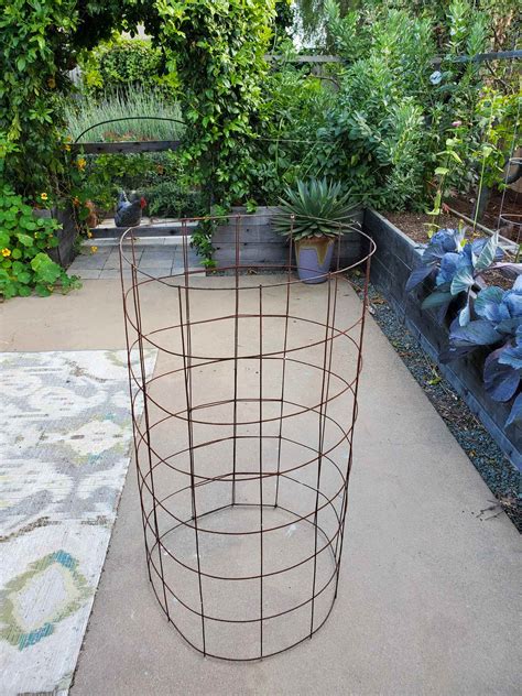 Chicken Wire Tomato Cage