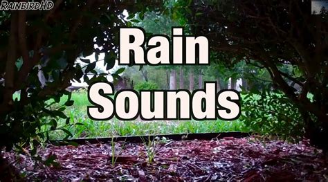 'Rain Sounds' 5 Hours 'Sleep Video' Light Rain Sounds HD Ambient Sounds ...