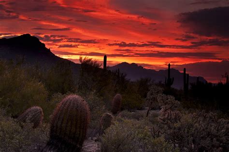 Tubac Country Inn in Tubac, Arizona - Home