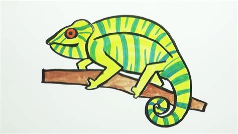 Rainbow Chameleon Easy Drawing For Kids With Colour - canvas-ily