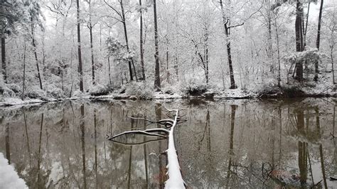 My view of the snow this year : r/Louisiana