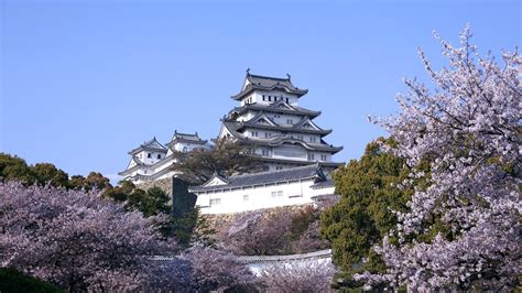 Download Hyogo Spring Sakura Japan Cherry Blossom Man Made Himeji Castle HD Wallpaper