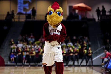 Elon University mascot spreads spirit, with or without sports - Elon ...