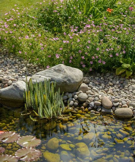 Wildlife pond edging ideas: 10 nature-friendly designs for your backyard | Gardeningetc