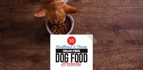 Top 50 Cheap Best Grain-Free Dog Food Brands