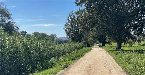 The Rive Rosse, a ring in the home of mountain biking - BERGFEX - Kolesarjenje - Turneja Piemont