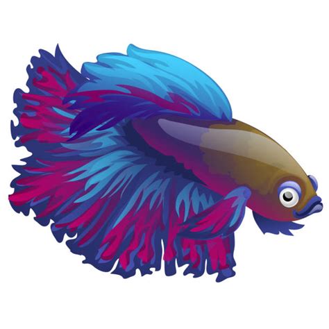 Betta Fish Background Illustrations, Royalty-Free Vector Graphics ...