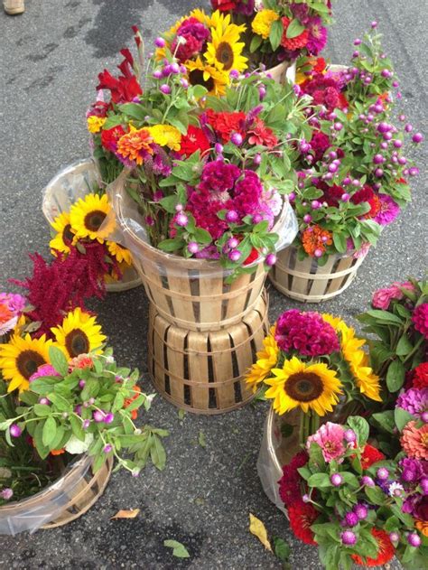 Cut Flowers for Farmers Market | Farmers market flowers are the bestest ...