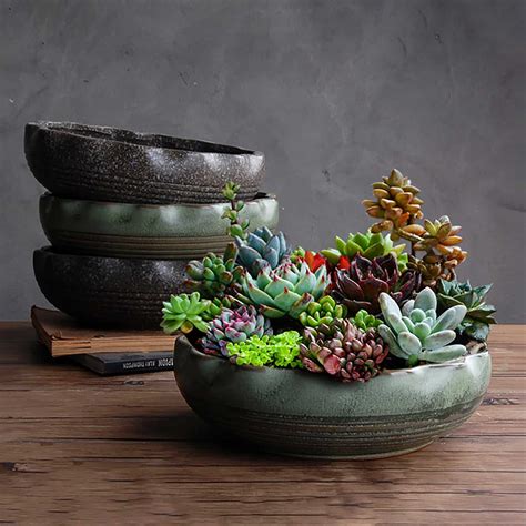 21 Indoor Succulent Planters for Indoor Succulent Gardens