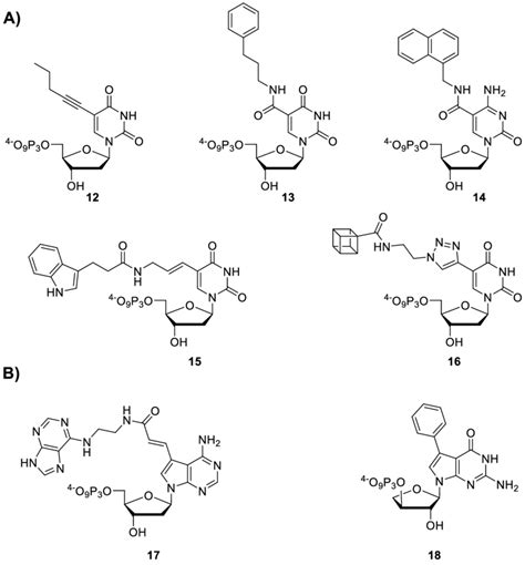 Chemical structures of base-modified nucleoside triphosphates used in ...