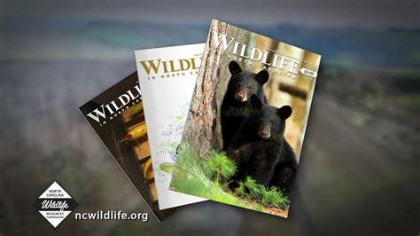 Wildlife in North Carolina Magazine | Since 1937, Wildlife in North ...