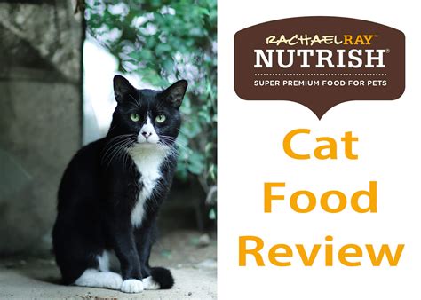 Rachael Ray Cat Food Review 2019 | Cat Mania