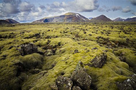 Iceland, South of Iceland, moss-grown volcanic rock stock photo