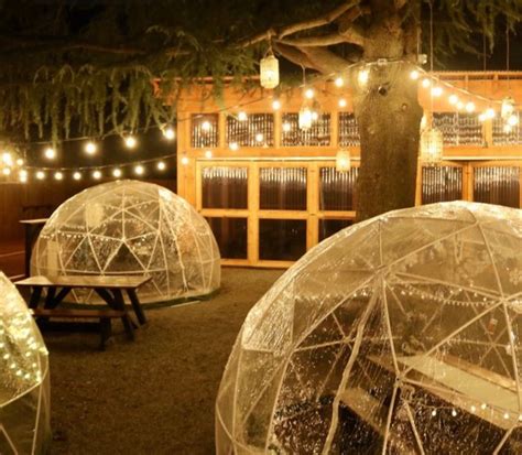 Igloos an Alternative Winter Dining Option - The Goodyear Journal