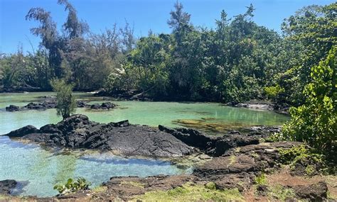 Hilo Ocean Adventures - Hilo Ocean Adventures | Groupon