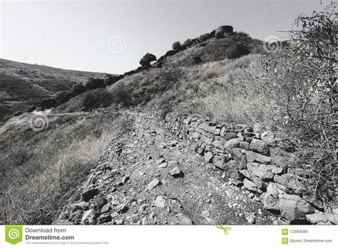 Gamla Nature Reserve in Israel Stock Image - Image of mediterranean ...