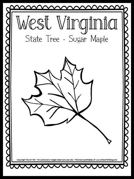 West Virginia State Tree Coloring Page (Sugar Maple!) {FREE Printable!}