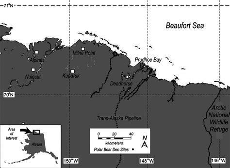 Location of the polar bear dens within the maternal den study area ...