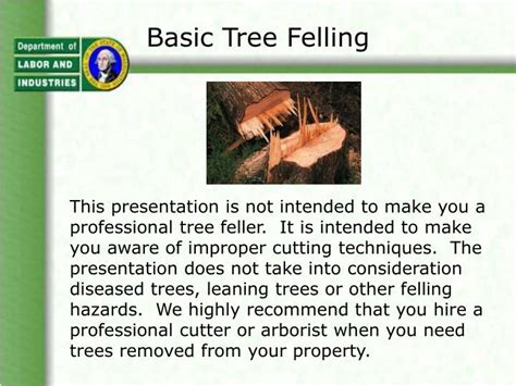 PPT - Basic Tree Felling PowerPoint Presentation, free download - ID:329521