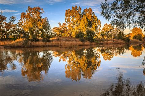 Visit Gilgandra - Gilgandra Region