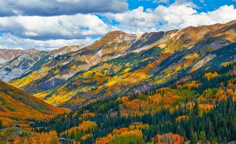 mountain, Forest, Forest, Colorado, Autumn, Usa Wallpapers HD / Desktop ...