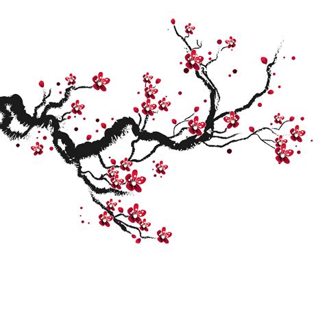 Samicraft Transparent Background Cherry Blossom Borde - vrogue.co