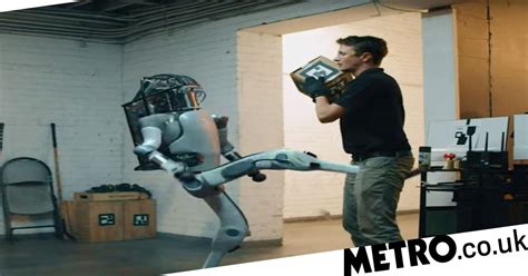 'Boston Dynamics' robot fights back against humans in viral video | Metro News