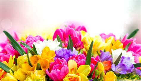 🔥 Download Desktop Wallpaper Spring Flowers Background Pictures by @psanchez | Spring Flower ...