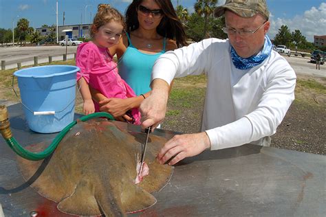 Cooking Stingray and Skates: 3 Easy Recipes - Florida Sportsman