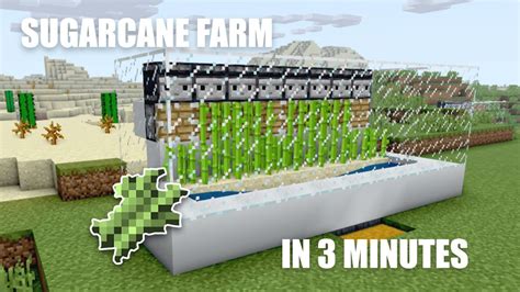 How to make a SUGARCANE FARM in 3 MINUTES (easy farming) - YouTube