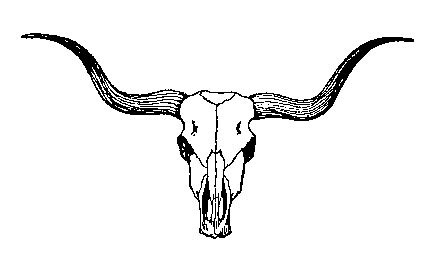 Texas Longhorn Skull Coloring Pages