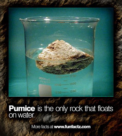 Pumice is the only rock that floats on water.