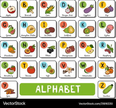 Alphabet with fruit and vegetables square card Vector Image