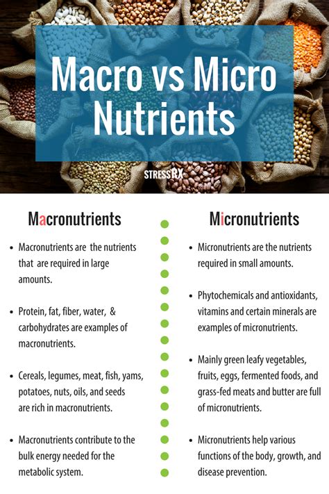 What Is Difference Between Macronutrients And Micronutrients | nutrienkarbo