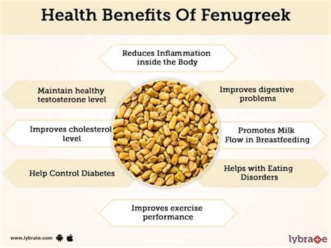 Fenugreek Benefits And Its Side Effects | Lybrate