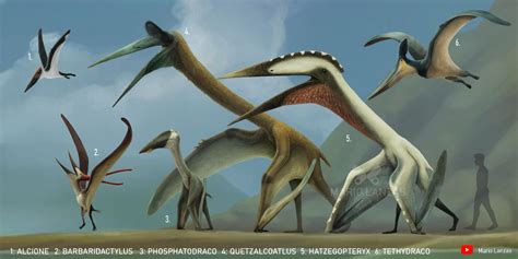 Pterosaurs of Prehistoric Planet s1 by MarioLanzas on DeviantArt