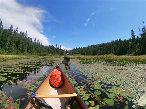 Algonquin Park Canoe Routes -Discovery Routes