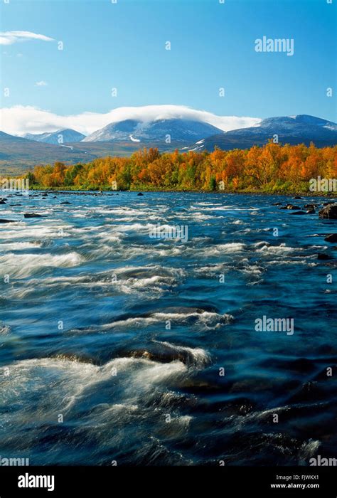 Abisko River in Abisko National Park in Swedish Lapland Stock Photo - Alamy