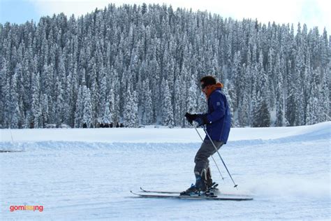 Gulmarg in Winters: A Gem in Kashmir's Crown