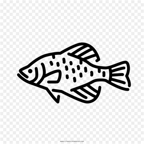 Free Crappie Fish Silhouette, Download Free Crappie Fish Silhouette png ...