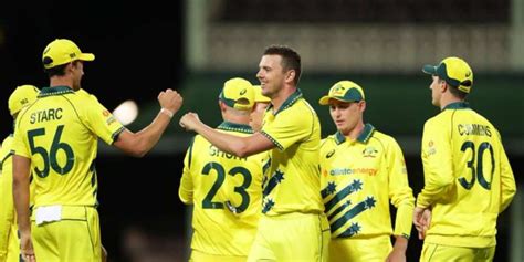 Australia vs New Zealand: David Warner, bowlers headline hosts ...