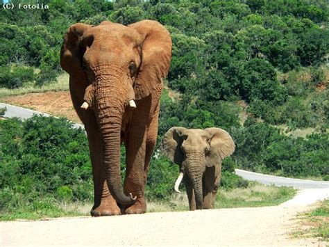 Guide au Togo : guide touristique pour visiter le Togo et préparer ses vacances