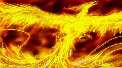 Cool Phoenix Bird Wallpaper - beauty walpaper