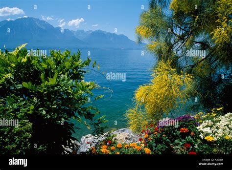 Montreux Lake Geneva Switzerland Stock Photo - Alamy