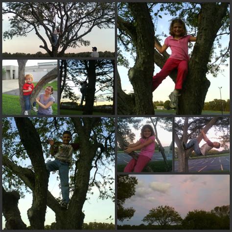 10 Tips for Tree Climbing