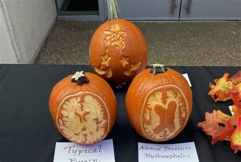 Winners of 2022 pumpkin-carving contests announced | VUMC Voice