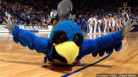 The Air Force Academy says its longest-serving falcon mascot has died